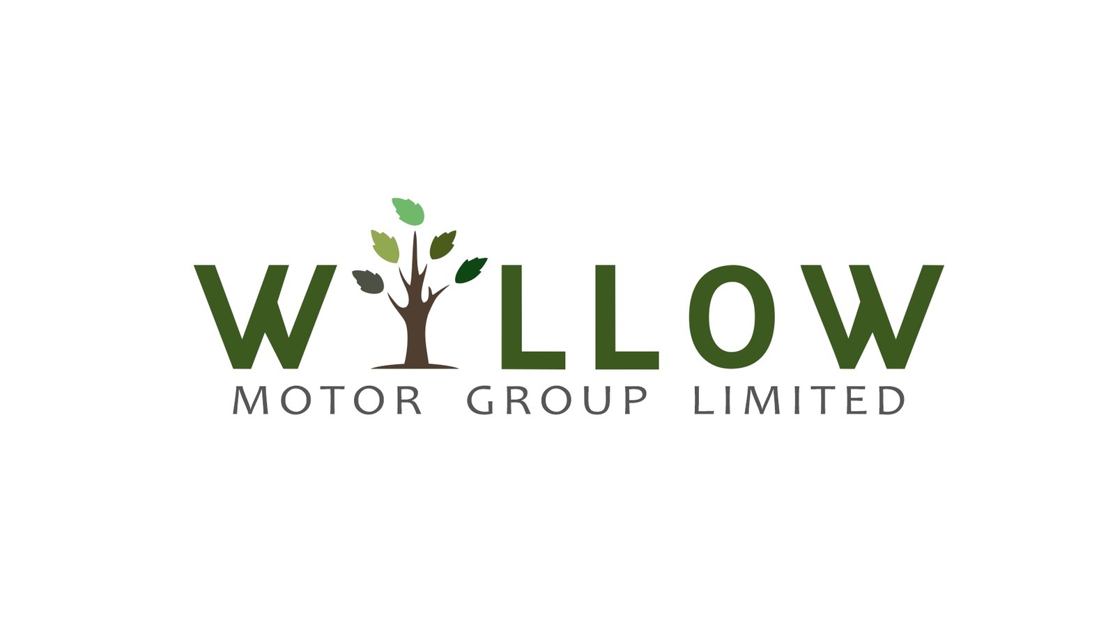 Willow Motor Group